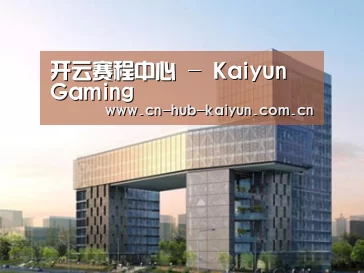 案例展示四