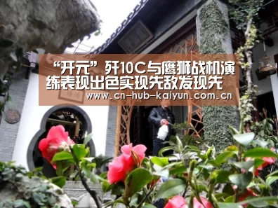 “开元”歼10C与鹰狮战机演练表现出色实现先敌发现先敌开火(图2) 开元